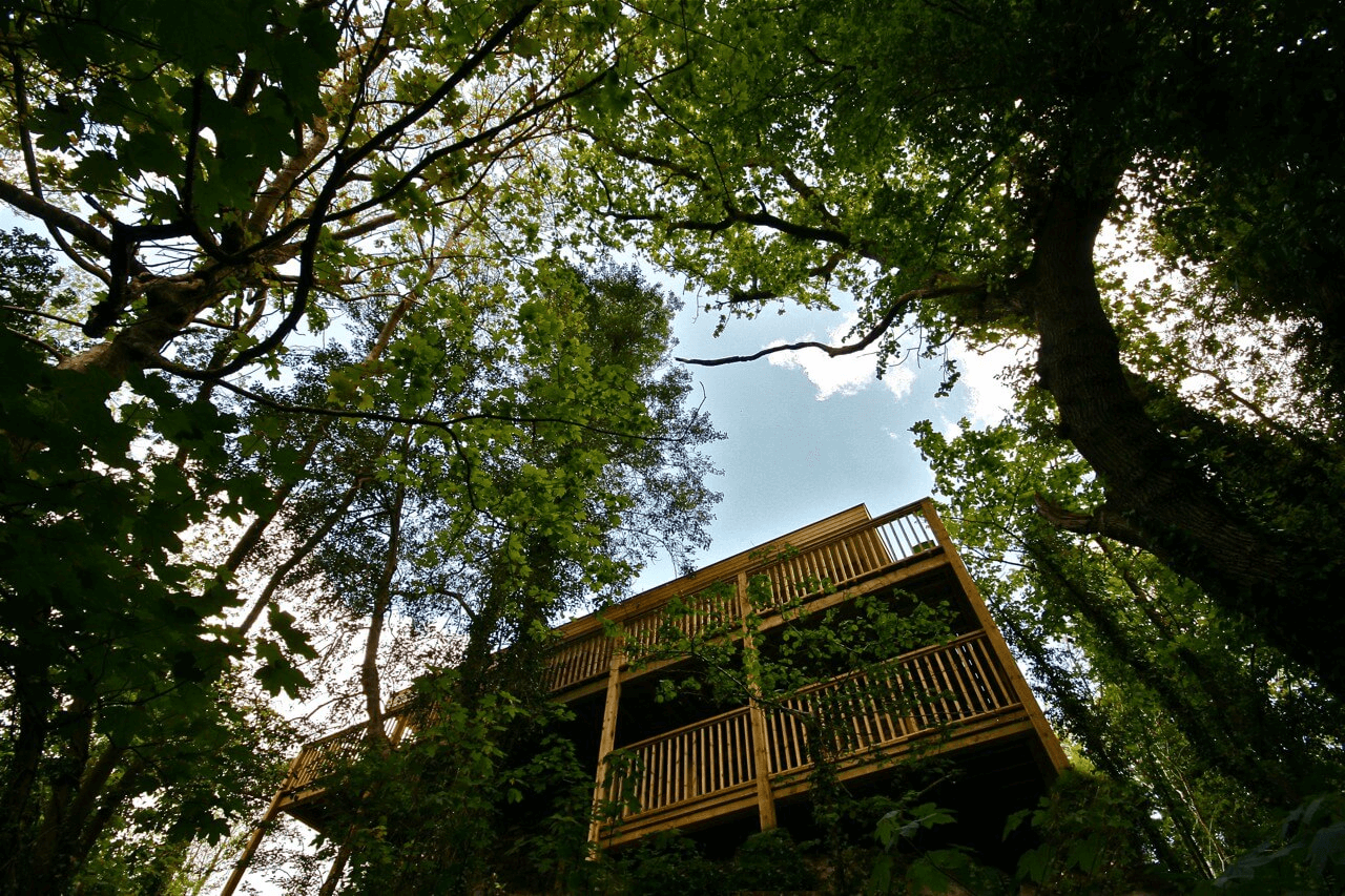 Road trip to a treehouse